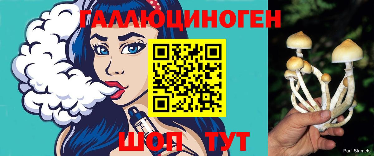 Апшеронск  Галлюциногенные грибы ЛСД  Галлюциногенные грибы Psilocybe  Вход с VPN 